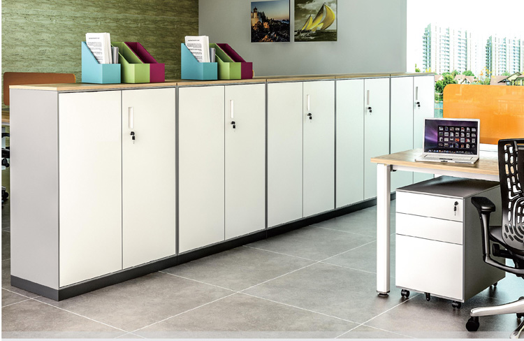 辦公室家具鋼制柜 辦公室家具鋼制柜